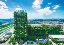 兴业银行跨境金融“扬帆”助力中国企业“乘风破浪”